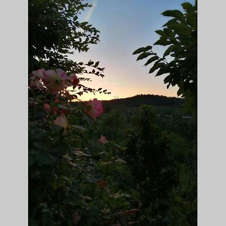 Nachhaltiges Wohnen In Seenaehe Schoemberg  Экстерьер фото